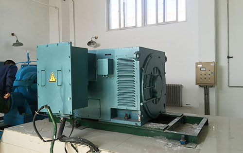 汝阳某水电站工程主水泵使用我公司高压电机